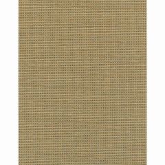 Winfield Thybony Camille Nutmeg 2352 Collection Wall Covering