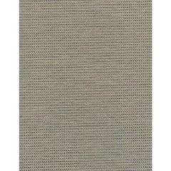 Winfield Thybony Camille Silt 2364 Collection Wall Covering