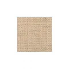 Winfield Thybony Catalina Weave Raffia 2390 Collection Wall Covering