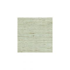 Winfield Thybony Distinctive Sisals Celery Salt 2411 Collection Wall Covering