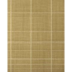 Winfield Thybony Varrone Saffron 1619 Natural Textiles Collection Wall Covering