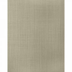 Winfield Thybony Balen Warm Gray 1677 Natural Textiles Collection Wall Covering