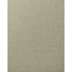 Winfield Thybony Delaine Pumice 1712 Natural Textiles Collection Wall Covering