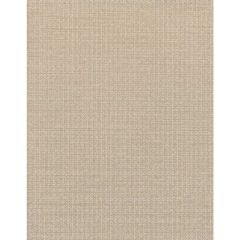 Winfield Thybony Emeline Woven Sheer 1637 by Thom Filicia Vinyls Collection Wall Covering