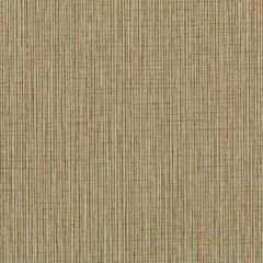 Winfield Thybony Becker Clay 1665 by Thom Filicia Vinyls Collection Wall Covering