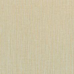 Winfield Thybony Becker Shimmer 1666 by Thom Filicia Vinyls Collection Wall Covering
