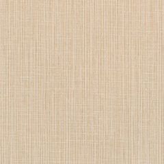Winfield Thybony Becker Frost 1667 by Thom Filicia Vinyls Collection Wall Covering