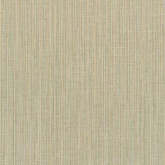 Winfield Thybony Becker Graphite 1668 by Thom Filicia Vinyls Collection Wall Covering