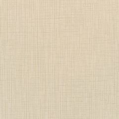 Winfield Thybony Becker Plaster 1669 by Thom Filicia Vinyls Collection Wall Covering