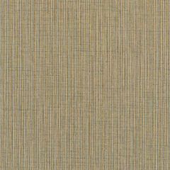 Winfield Thybony Becker Driftwood 1671 by Thom Filicia Vinyls Collection Wall Covering
