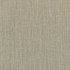Winfield Thybony Becker Nickel 1672 by Thom Filicia Vinyls Collection Wall Covering