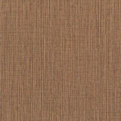 Winfield Thybony Becker Terracotta 1674 by Thom Filicia Vinyls Collection Wall Covering