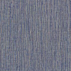 Winfield Thybony Becker Clearwater 1676 by Thom Filicia Vinyls Collection Wall Covering