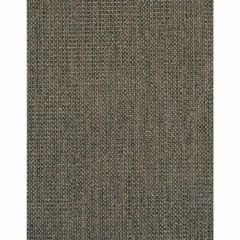 Winfield Thybony Conway Bark 1709 by Thom Filicia Vinyls Collection Wall Covering