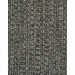 Winfield Thybony Conway Charcoal 1711 by Thom Filicia Vinyls Collection Wall Covering