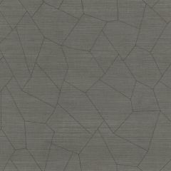Winfield Thybony Vivace Graphite 1748 by Thom Filicia Vinyls Collection Wall Covering