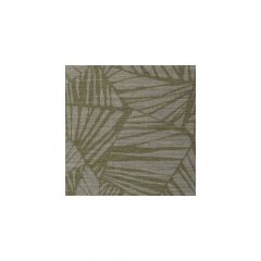 Winfield Thybony Phoenix Bamboo 3264 by Thom Filicia Vinyls Collection Wall Covering
