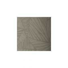 Winfield Thybony Phoenix Cobra 3267 by Thom Filicia Vinyls Collection Wall Covering