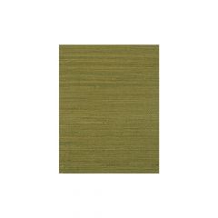 Winfield Thybony Montego Moss 2505 Island Weaves Collection Wall Covering