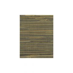 Winfield Thybony Corenwall Pyrite 2563 Island Weaves Collection Wall Covering