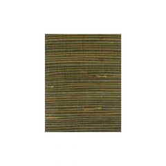 Winfield Thybony Corenwall Tigers Eye 2564 Island Weaves Collection Wall Covering