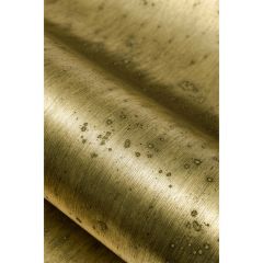 Winfield Thybony Aurora Aged Brass 5019 Metallic Textures Collection Wall Covering