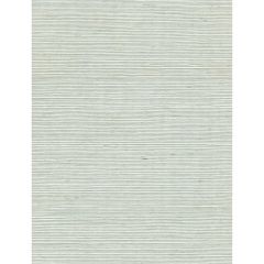 Winfield Thybony Solo Sisal Barely Blue 2232 Collection Wall Covering