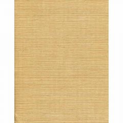 Winfield Thybony Solo Sisal Haystack 2235 Collection Wall Covering