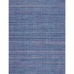Winfield Thybony Solo Sisal Heavenly Blue 2246 Collection Wall Covering