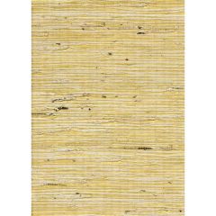 Winfield Thybony Concerto Gold 2259 Collection Wall Covering