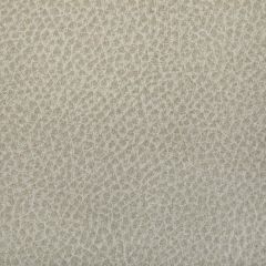 Kravet Contract Woolf Limestone 1 Indoor Upholstery Fabric