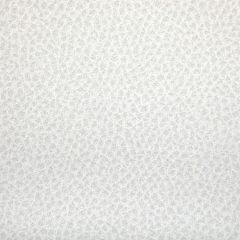 Kravet Contract Woolf Fossil 101 Indoor Upholstery Fabric