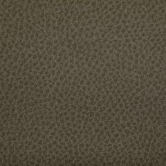 Kravet Contract Woolf Etruscan 106 Indoor Upholstery Fabric