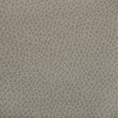 Kravet Contract Woolf Porcini 11 Indoor Upholstery Fabric