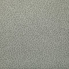 Kravet Contract Woolf Overcast 1101 Indoor Upholstery Fabric