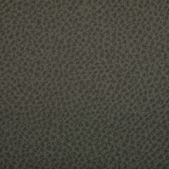 Kravet Contract Woolf Hawk 1121 Indoor Upholstery Fabric