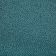 Kravet Contract Woolf Pool 113 Indoor Upholstery Fabric