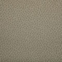 Kravet Contract Woolf Sandbar 121 Indoor Upholstery Fabric