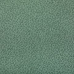 Kravet Contract Woolf Julep 130 Indoor Upholstery Fabric