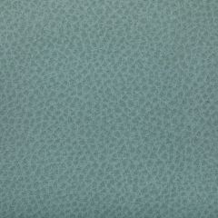 Kravet Contract Woolf Mineral 35 Indoor Upholstery Fabric