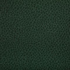 Kravet Contract Woolf Woodland 53 Indoor Upholstery Fabric