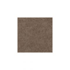 Winfield Thybony Enduring Bronco 1120 Performace Vinyl 17 Collection Wall Covering
