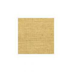 Winfield Thybony Sisal Brush 4536 Simply Sisal Collection Wall Covering