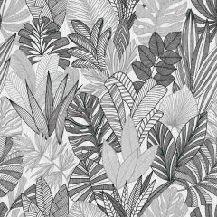 Winfield Thybony Cornish Lane Dove 20200 The Keys Collection Wall Covering