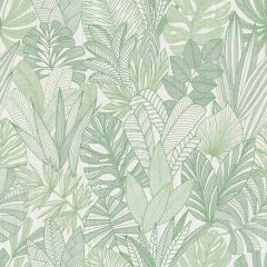 Winfield Thybony Cornish Lane Tropicale 20204 The Keys Collection Wall Covering