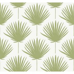 Winfield Thybony Shore Front Avocado 21204 The Keys Collection Wall Covering