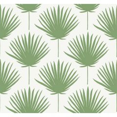 Winfield Thybony Shore Front Viridian 21214 The Keys Collection Wall Covering