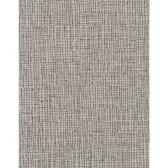 Winfield Thybony Canvas Fog 1017 Taniya Nayak Collection Wall Covering