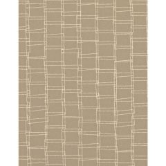 Winfield Thybony Looped Tapioca 1085 Taniya Nayak Collection Wall Covering