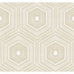 Winfield Thybony Concentric Groove Champagne 4035 Collection Wall Covering
